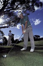 Male Golfer Tee Shot - Photo : NSIC Collection 